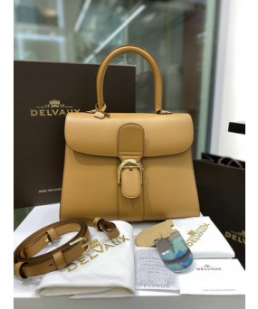 델보 브리앙 박스백 미듐